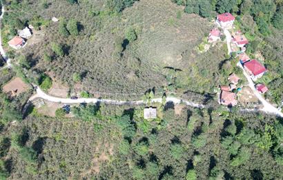 PERŞEMBE YENİKÖYDE 2.350 M², KÖY YERLEŞİK YOLUNA SIFIR BAHÇE