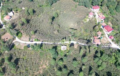 PERŞEMBE YENİKÖYDE 2.350 M², KÖY YERLEŞİK YOLUNA SIFIR BAHÇE