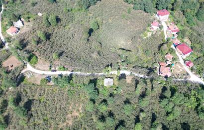PERŞEMBE YENİKÖYDE 2.350 M², KÖY YERLEŞİK YOLUNA SIFIR BAHÇE