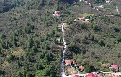 PERŞEMBE YENİKÖYDE 2.350 M², KÖY YERLEŞİK YOLUNA SIFIR BAHÇE