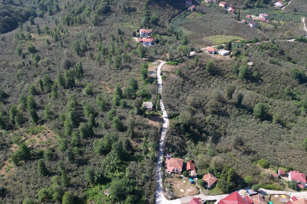 PERŞEMBE YENİKÖYDE 2.350 M², KÖY YERLEŞİK YOLUNA SIFIR BAHÇE