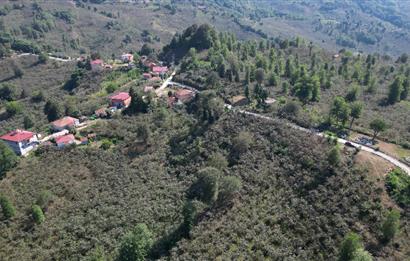 PERŞEMBE YENİKÖYDE 2.350 M², KÖY YERLEŞİK YOLUNA SIFIR BAHÇE