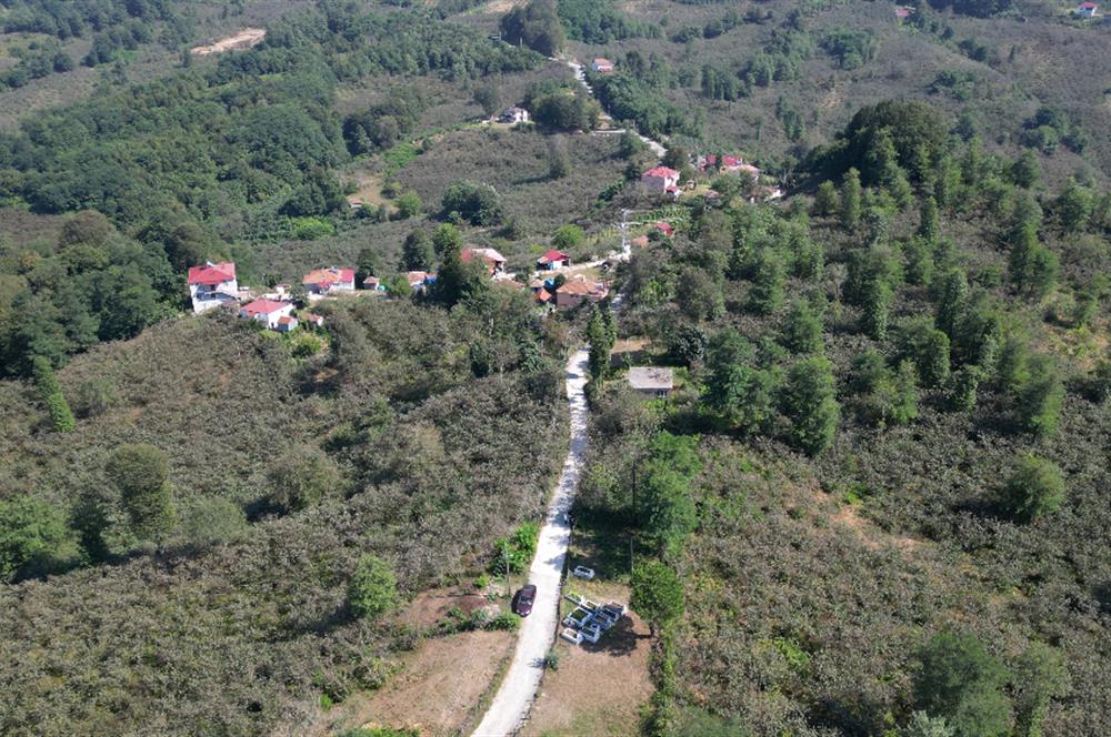 PERŞEMBE YENİKÖYDE 2.350 M², KÖY YERLEŞİK YOLUNA SIFIR BAHÇE