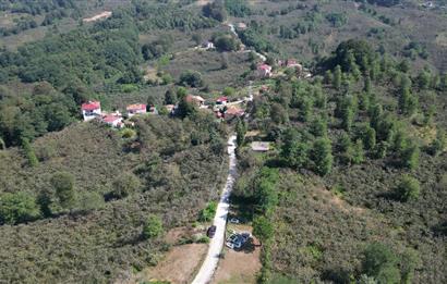 PERŞEMBE YENİKÖYDE 2.350 M², KÖY YERLEŞİK YOLUNA SIFIR BAHÇE