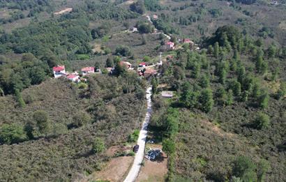 PERŞEMBE YENİKÖYDE 2.350 M², KÖY YERLEŞİK YOLUNA SIFIR BAHÇE