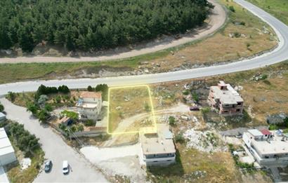 C21 BAL'DAN ÜÇPINAR MAHALLESİNDE 481M2 SATILIK ARSA