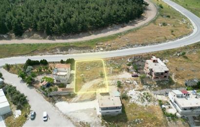C21 BAL'DAN ÜÇPINAR MAHALLESİNDE 481M2 SATILIK ARSA