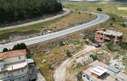 C21 BAL'DAN ÜÇPINAR MAHALLESİNDE 481M2 SATILIK ARSA