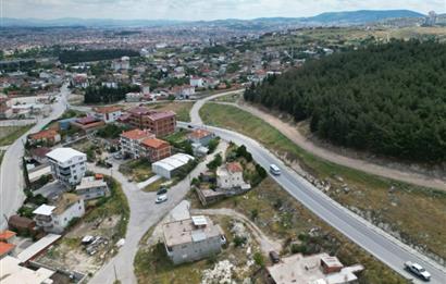 C21 BAL'DAN ÜÇPINAR MAHALLESİNDE 481M2 SATILIK ARSA