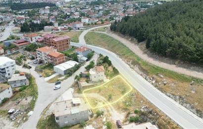 C21 BAL'DAN ÜÇPINAR MAHALLESİNDE 481M2 SATILIK ARSA