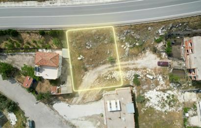 C21 BAL'DAN ÜÇPINAR MAHALLESİNDE 481M2 SATILIK ARSA