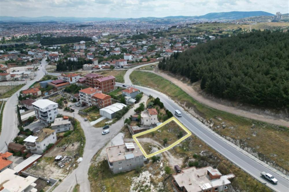 C21 BAL'DAN ÜÇPINAR MAHALLESİNDE 481M2 SATILIK ARSA