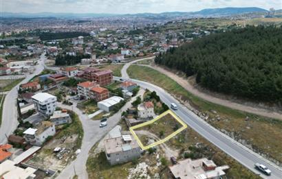 C21 BAL'DAN ÜÇPINAR MAHALLESİNDE 481M2 SATILIK ARSA