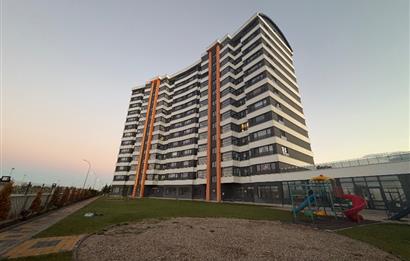 AKARÇAY GOLD'UN EN GÖZDESİ