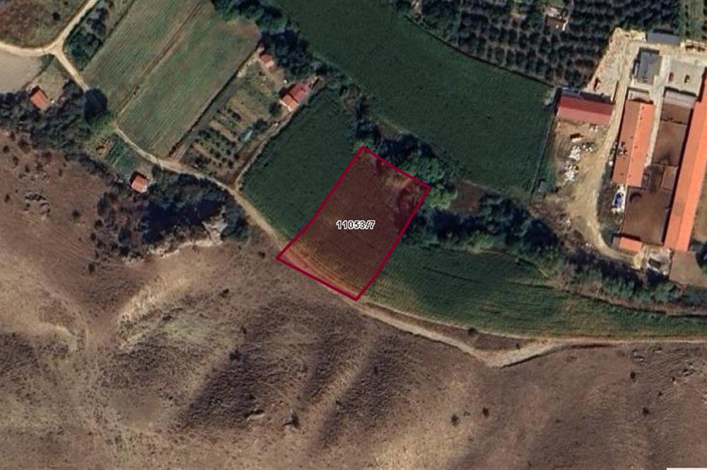 CENTURY 21 VİZYON'DAN KESKİN'DE SATILIK TARLA