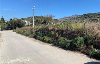 Bodrum Turgutreis Marinaya Yürüme Mesafesinde Deniz ve Şehir Manzaralı Müstakil 1.000m2 İmarlı Arsa
