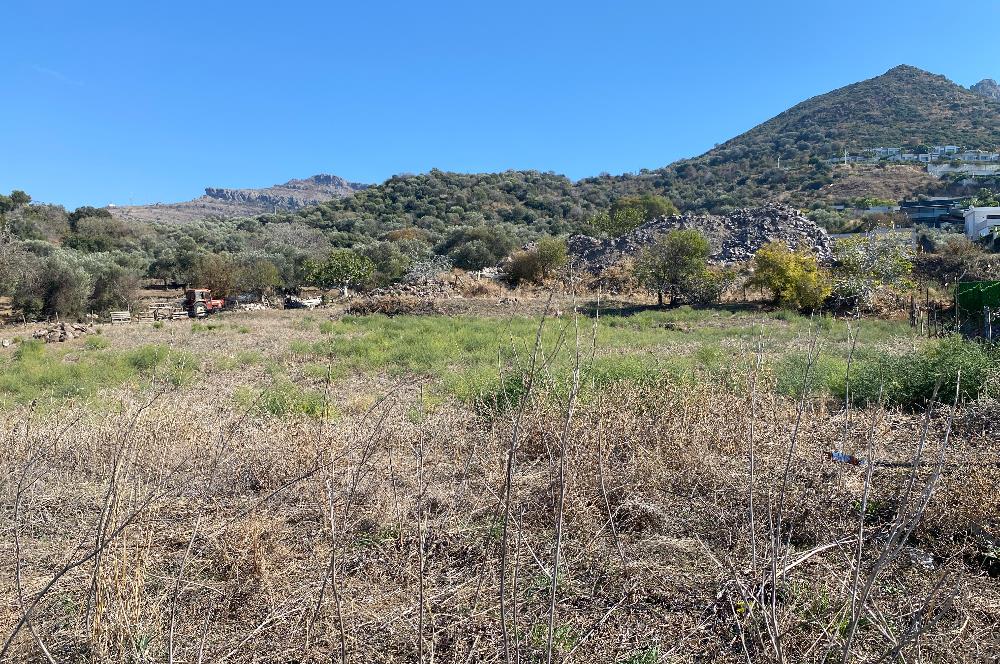 Bodrum Turgutreis Marinaya Yürüme Mesafesinde Deniz ve Şehir Manzaralı Müstakil 1.000m2 İmarlı Arsa