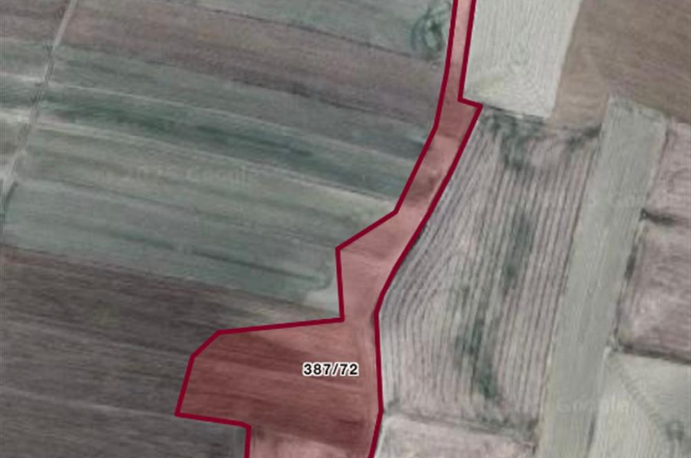 C21 VİZYONDAN POLATLI ŞABANÖZÜ 18 DÖNÜM SATLIK TARLA