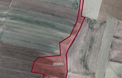 C21 VİZYONDAN POLATLI ŞABANÖZÜ 18 DÖNÜM SATLIK TARLA