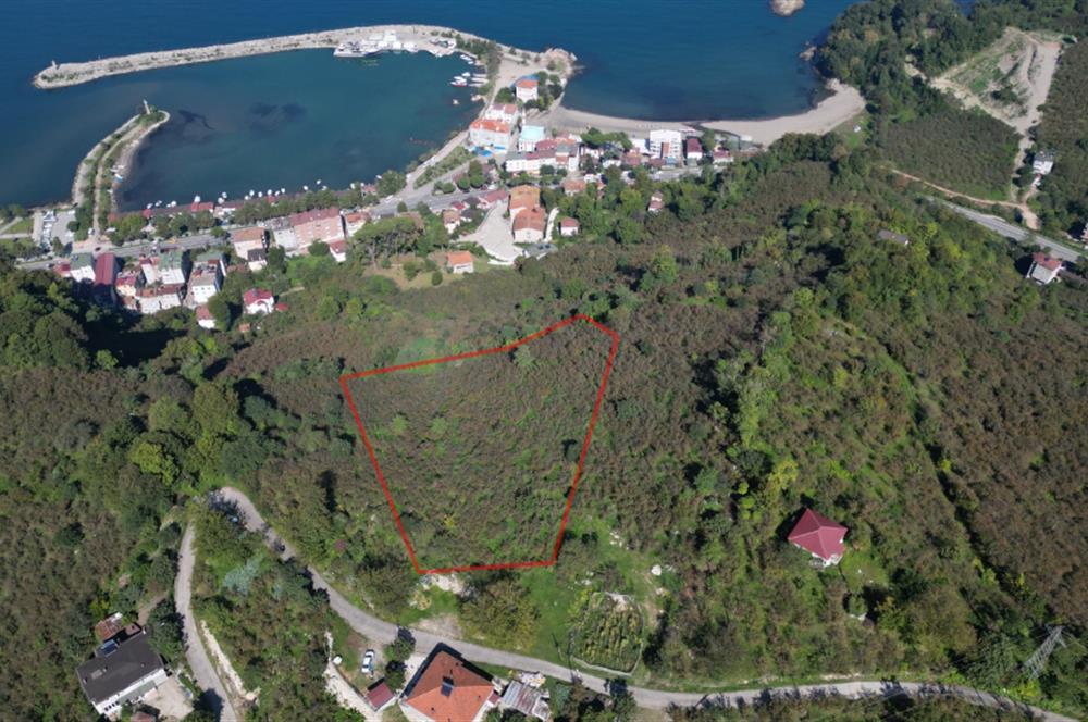 CENTURY 21'DEN FATSA BOLAMAN'DA DENİZ MANZARALI KAÇIRILMAYACAK ARSA!!!