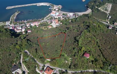 CENTURY 21'DEN FATSA BOLAMAN'DA DENİZ MANZARALI KAÇIRILMAYACAK ARSA!!!