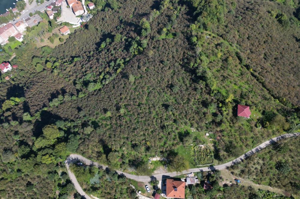 CENTURY 21'DEN FATSA BOLAMAN'DA DENİZ MANZARALI KAÇIRILMAYACAK ARSA!!!