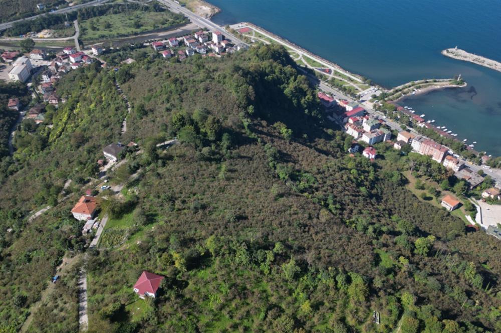 CENTURY 21'DEN FATSA BOLAMAN'DA DENİZ MANZARALI KAÇIRILMAYACAK ARSA!!!
