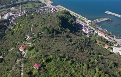 CENTURY 21'DEN FATSA BOLAMAN'DA DENİZ MANZARALI KAÇIRILMAYACAK ARSA!!!