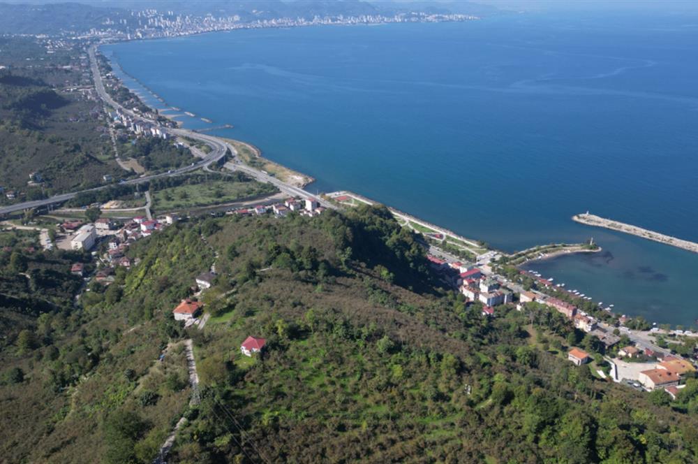 CENTURY 21'DEN FATSA BOLAMAN'DA DENİZ MANZARALI KAÇIRILMAYACAK ARSA!!!