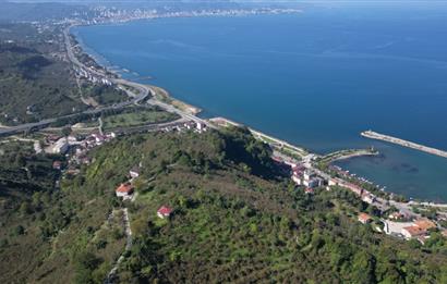 CENTURY 21'DEN FATSA BOLAMAN'DA DENİZ MANZARALI KAÇIRILMAYACAK ARSA!!!