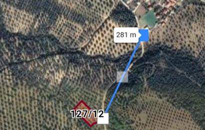 Gömeç Dursunlu'da Satılık 2927 m² Zeytinlik