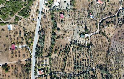 Satılık Arsa Datça Hızırşah Mah. 2.965 m² Knidos Anayolu Cepheli