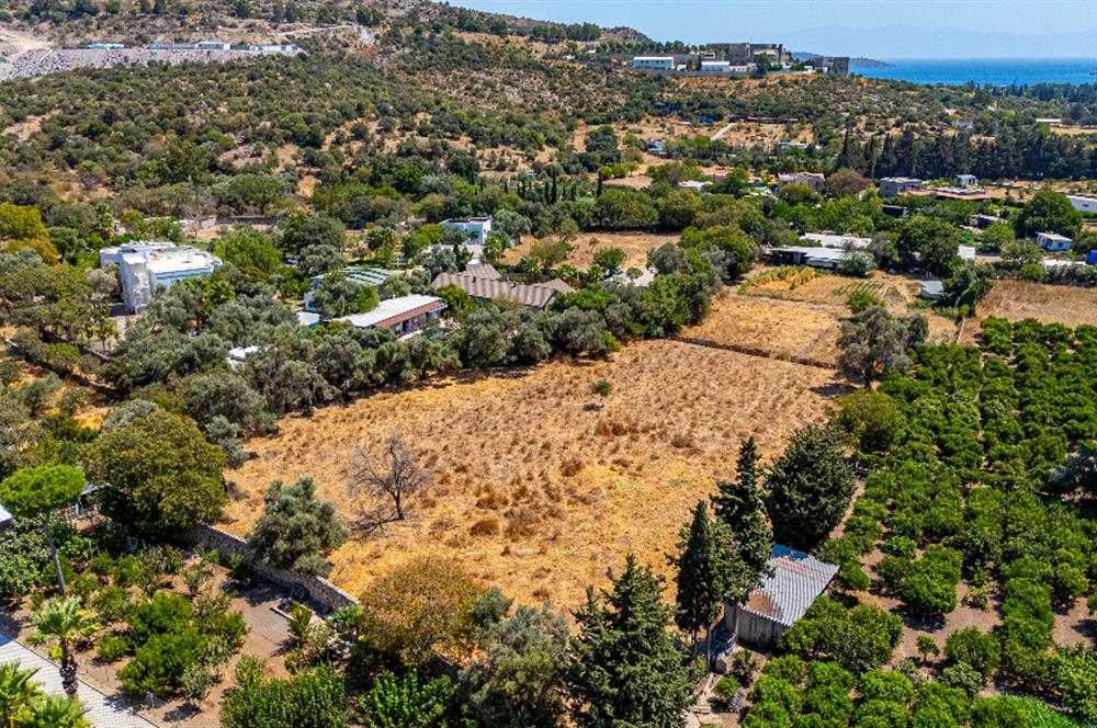 Ortakentte Denize Yürüme Mesafesinde Satılık Arsa