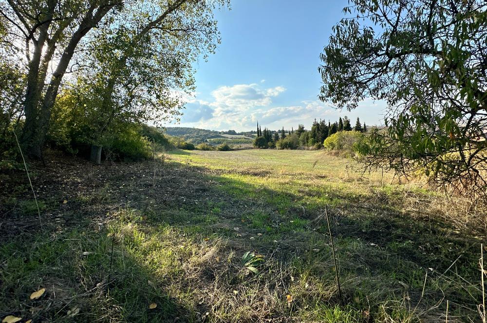 C21 BAL'DAN ESKİMANYAS'TA 6.570 m2// 5 PARÇAYA BÖLÜNEBİLİR ARSA