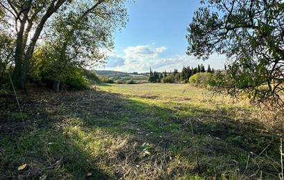 C21 BAL'DAN ESKİMANYAS'TA 6.570 m2// 5 PARÇAYA BÖLÜNEBİLİR ARSA