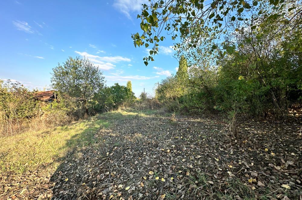 C21 BAL'DAN ESKİMANYAS'TA 6.570 m2// 5 PARÇAYA BÖLÜNEBİLİR ARSA