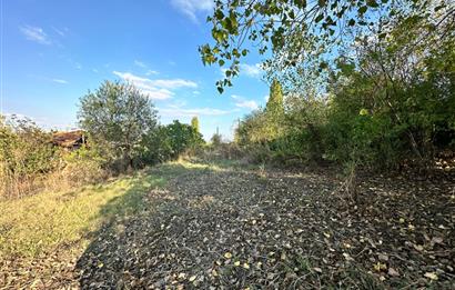 C21 BAL'DAN ESKİMANYAS'TA 6.570 m2// 5 PARÇAYA BÖLÜNEBİLİR ARSA