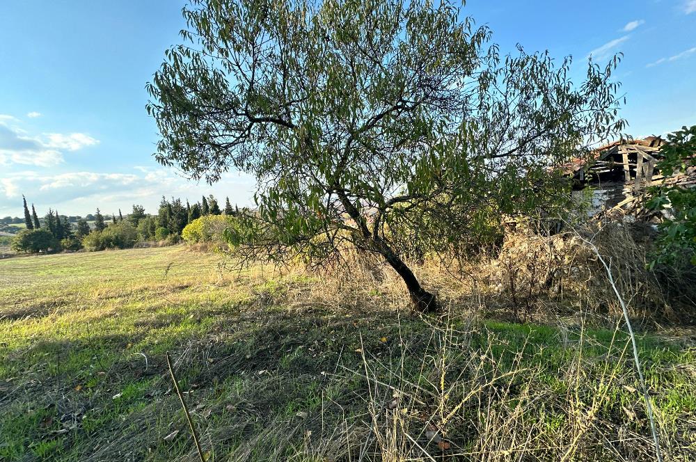 C21 BAL'DAN ESKİMANYAS'TA 6.570 m2// 5 PARÇAYA BÖLÜNEBİLİR ARSA