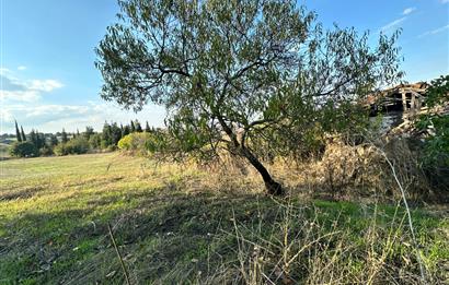 C21 BAL'DAN ESKİMANYAS'TA 6.570 m2// 5 PARÇAYA BÖLÜNEBİLİR ARSA