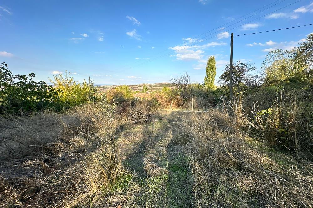 C21 BAL'DAN ESKİMANYAS'TA 6.570 m2// 5 PARÇAYA BÖLÜNEBİLİR ARSA