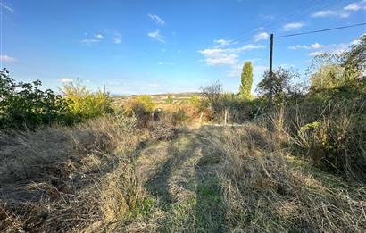 C21 BAL'DAN ESKİMANYAS'TA 6.570 m2// 5 PARÇAYA BÖLÜNEBİLİR ARSA