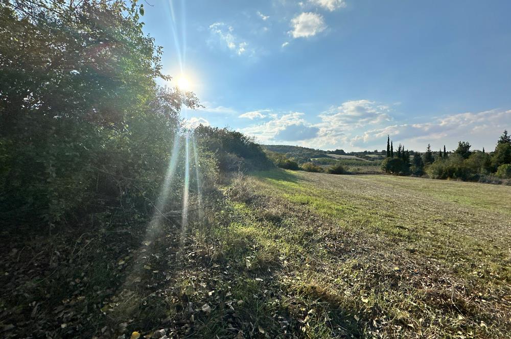 C21 BAL'DAN ESKİMANYAS'TA 6.570 m2// 5 PARÇAYA BÖLÜNEBİLİR ARSA