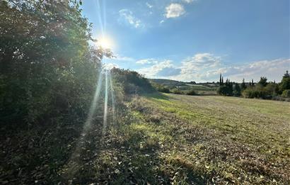 C21 BAL'DAN ESKİMANYAS'TA 6.570 m2// 5 PARÇAYA BÖLÜNEBİLİR ARSA