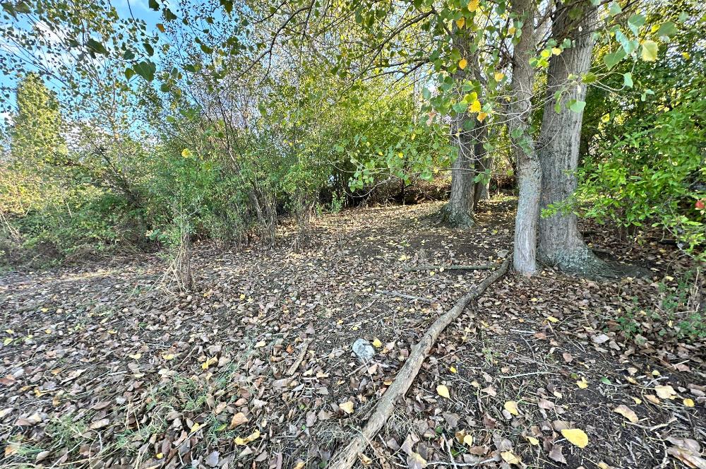 C21 BAL'DAN ESKİMANYAS'TA 6.570 m2// 5 PARÇAYA BÖLÜNEBİLİR ARSA