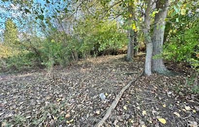 C21 BAL'DAN ESKİMANYAS'TA 6.570 m2// 5 PARÇAYA BÖLÜNEBİLİR ARSA