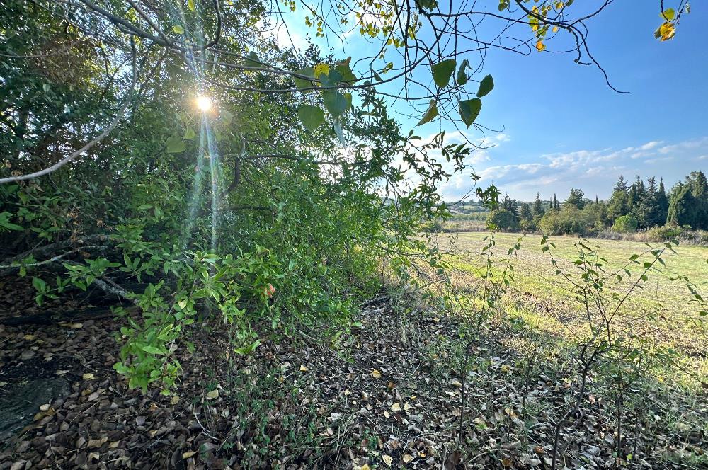 C21 BAL'DAN ESKİMANYAS'TA 6.570 m2// 5 PARÇAYA BÖLÜNEBİLİR ARSA