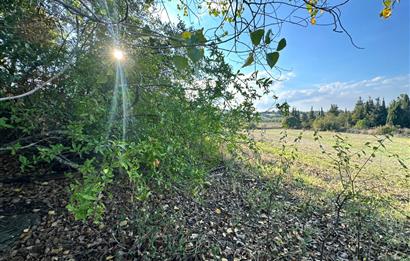 C21 BAL'DAN ESKİMANYAS'TA 6.570 m2// 5 PARÇAYA BÖLÜNEBİLİR ARSA