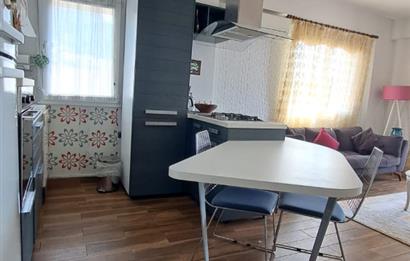 TURGUTREİS KARABAĞ YATIRIMLIK YAZLIK KIŞLIK