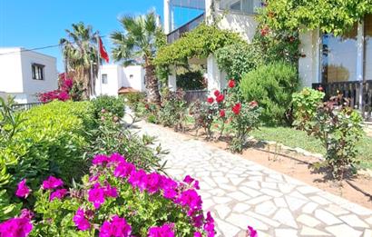 TURGUTREİS KARABAĞ YATIRIMLIK YAZLIK KIŞLIK