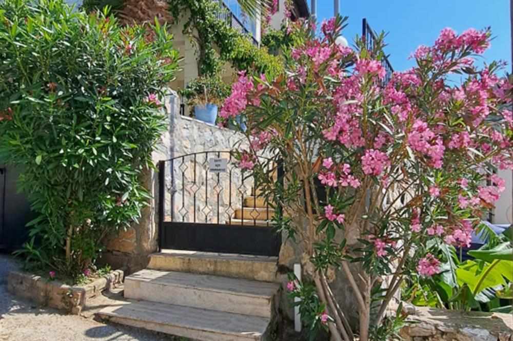 TURGUTREİS KARABAĞ YATIRIMLIK YAZLIK KIŞLIK